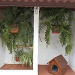 La Yedra San Mateo *