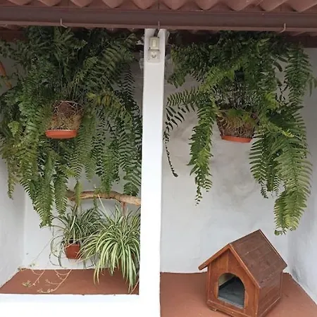 La Yedra San Mateo *