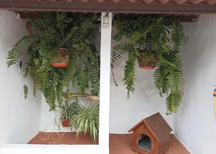 La Yedra San Mateo *