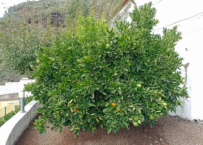 La Yedra San Mateo Vakantiehuis