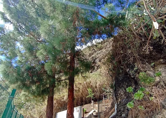 La Yedra San Mateo Vakantiehuis *