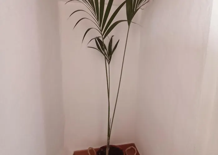 Vakantiehuis La Yedra San Mateo Arbejales